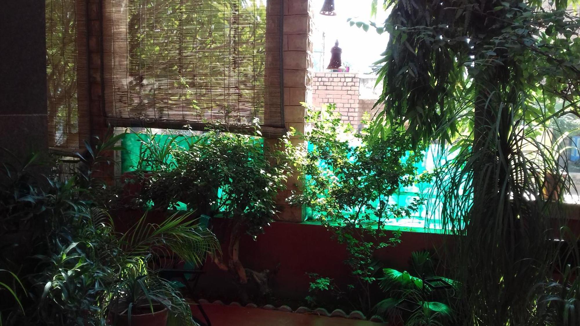 "Nain'S Kunj" A Traveller'S Home Jodhpur  Eksteriør billede