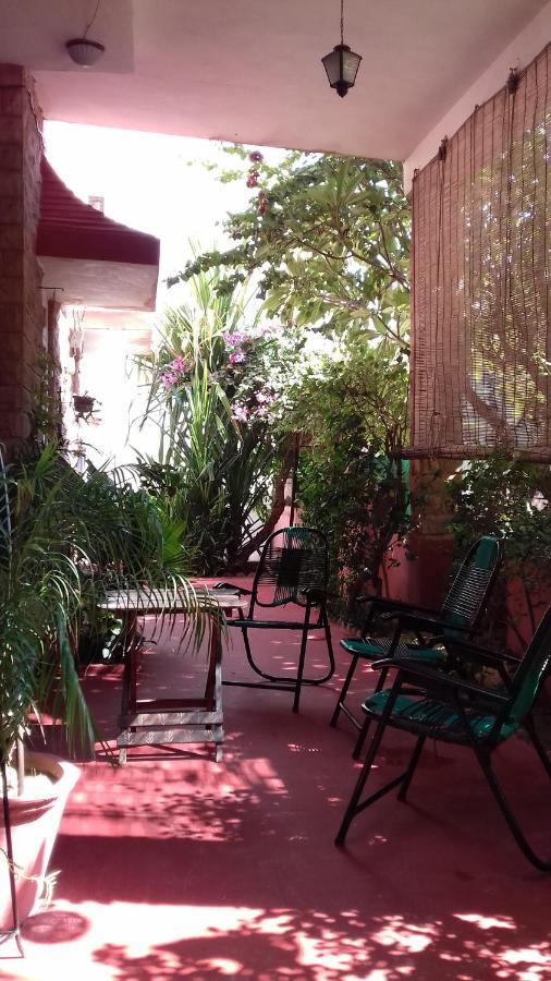 "Nain'S Kunj" A Traveller'S Home Jodhpur  Eksteriør billede